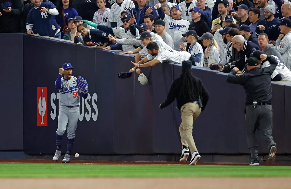 Yankees fan interference incident